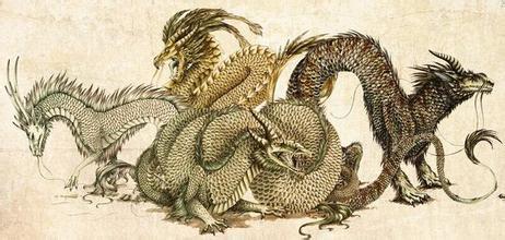 鲤鱼化龙与蛟化龙什么意思,鲤鱼跃龙门和蛇化龙哪个地位高