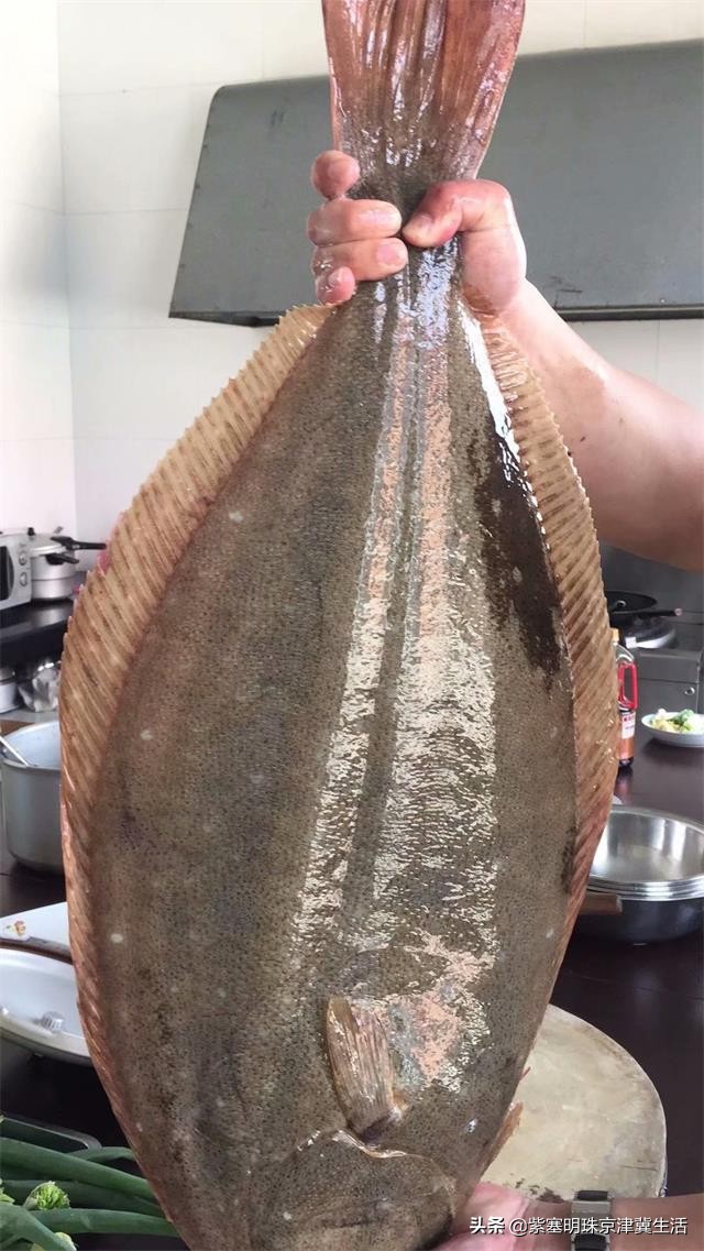 海边可以赶海吃住玩一体的农家院,秦皇岛黄金海岸牧海农家院