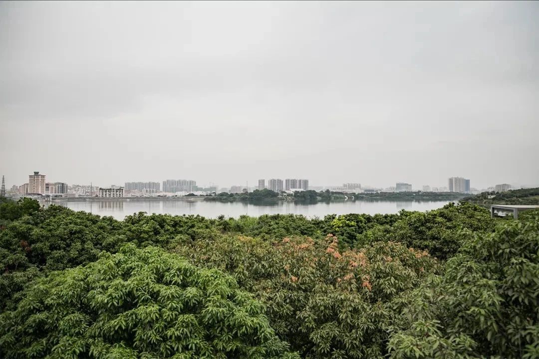 最美湖泊小众风景,最美湖泊西湖