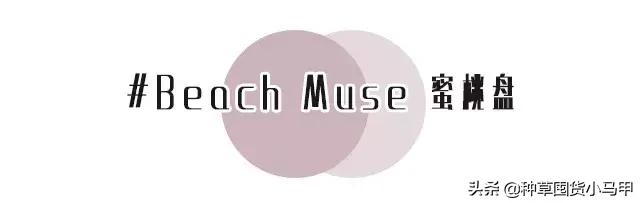 实体店被举报卖假货,专柜售假是真的吗