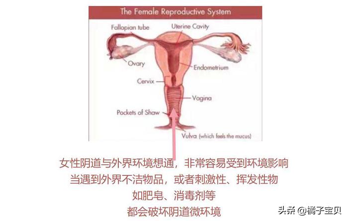 女人宫颈感染hpv的症状,女性宫颈hpv如何感染