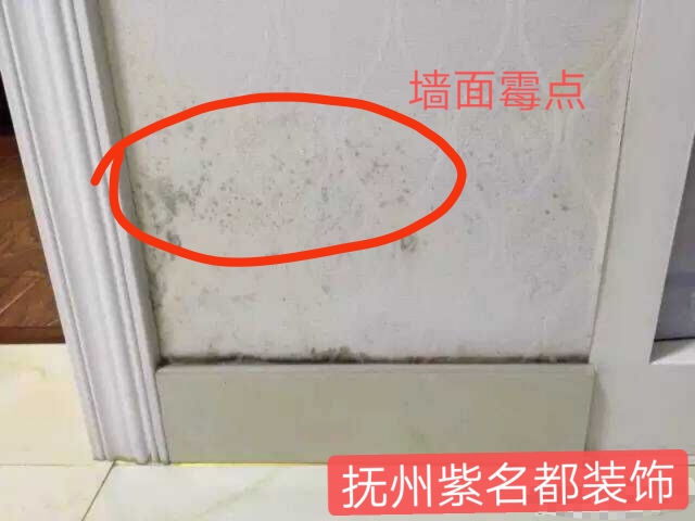 黄墙绿地代表什么意思,黄墙绿地跟什么有关