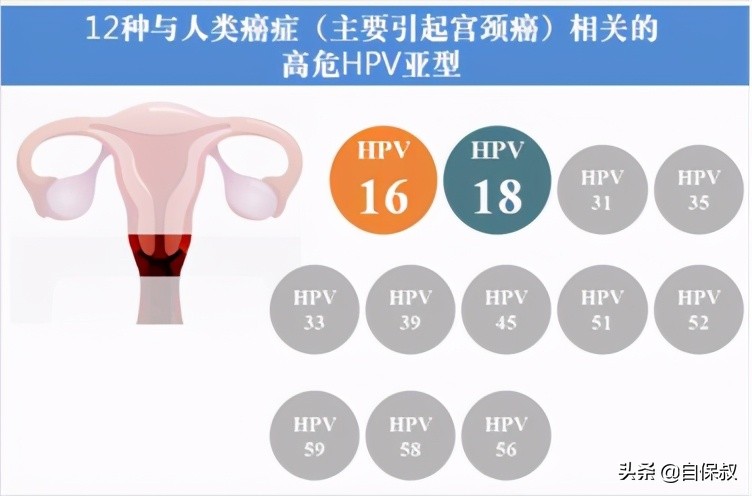 hpv阳性还能打9价疫苗吗,hpv阳性还能买保险吗