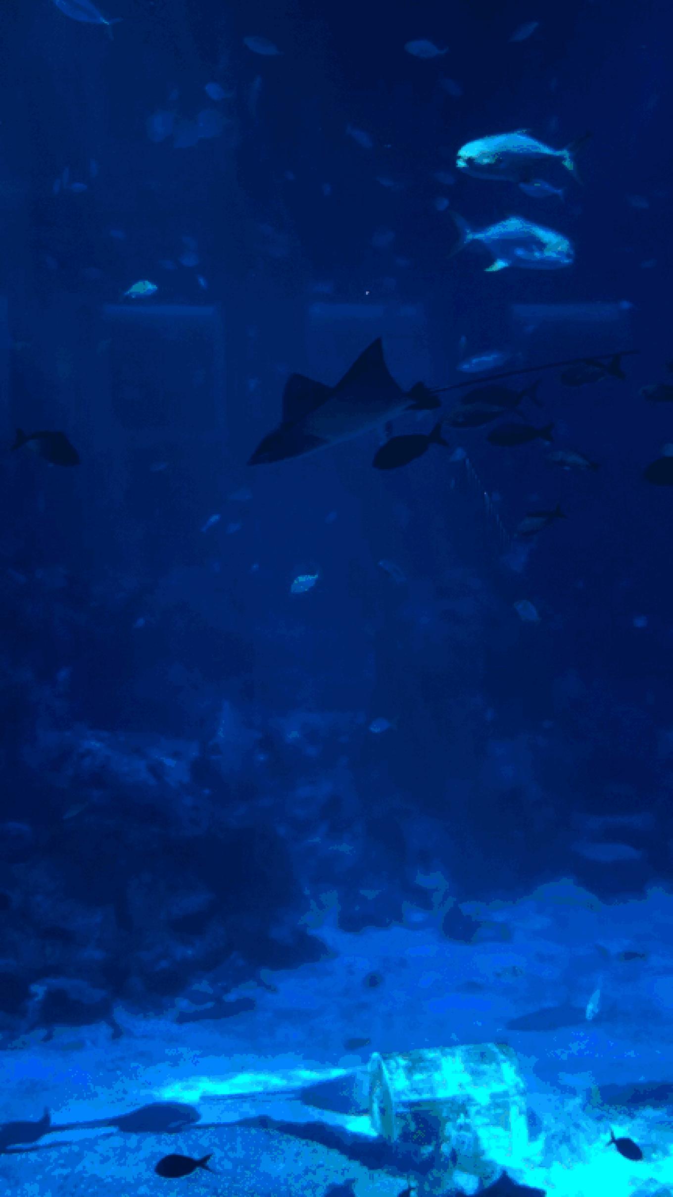 圣淘沙名胜世界攻略,请收下这份旅游攻略