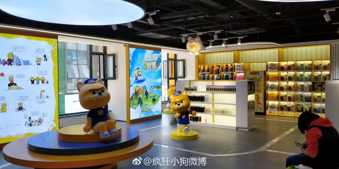 一只疯狂小狗视频,一只疯狂的阿拉斯加