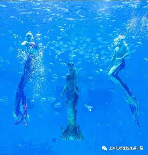 助力快乐童年｜上海虹桥医院尿道下裂男子汉成长营游学开始啦