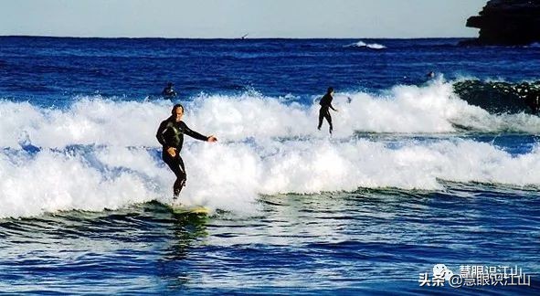 悉尼邦迪海滩,悉尼邦迪海滩新闻