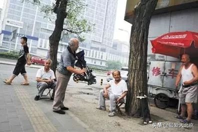 双井在干啥呢,双井现状