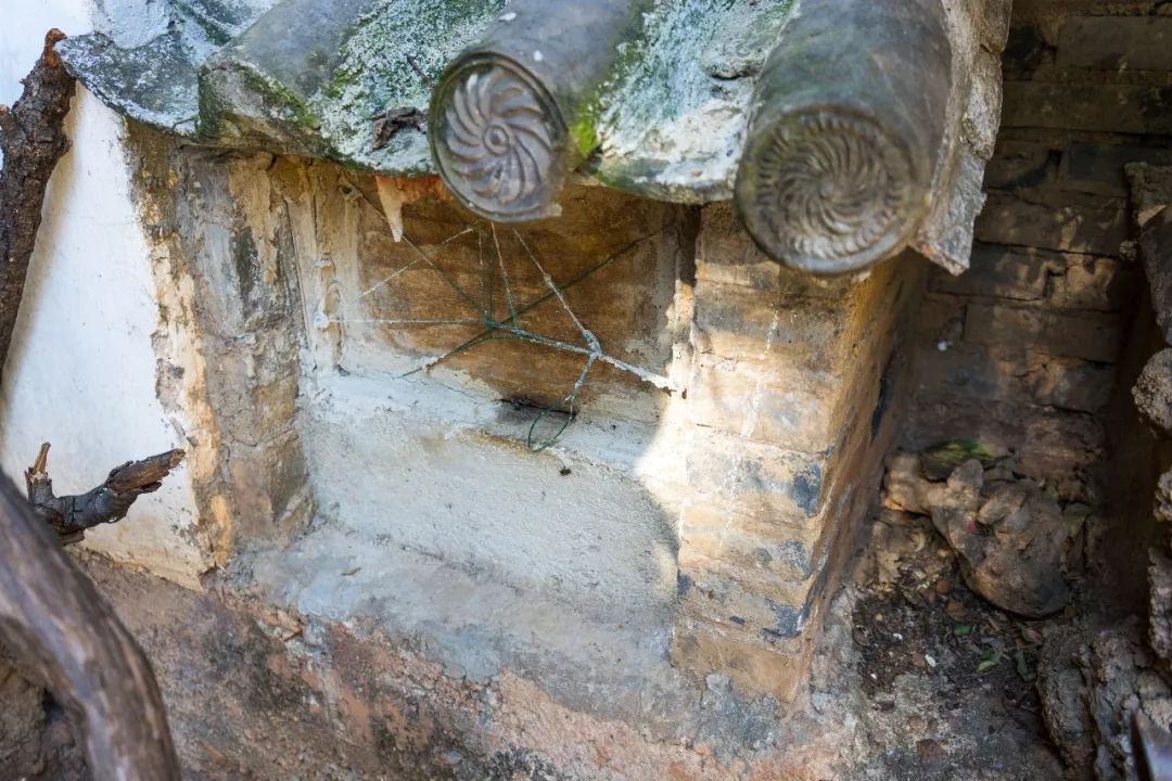 土蜂蜜取蜜全过程,土蜂蜜正确取蜜方法