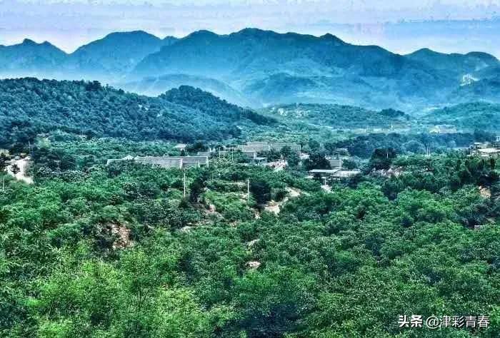 津南六月游玩攻略,这个季节去哪里旅游最好旅游攻略