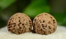 文玩品鉴视频,广善文玩精品文玩核桃