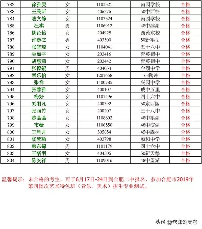 合肥二中艺术特长生招生简章,合肥二中美术特长生录取分数线