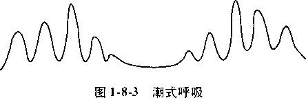 鎶ゅ＋鍛煎惛绯荤粺璇勪及,鍛煎惛绯荤粺鎶ゅ＋璇勪及鍐呭