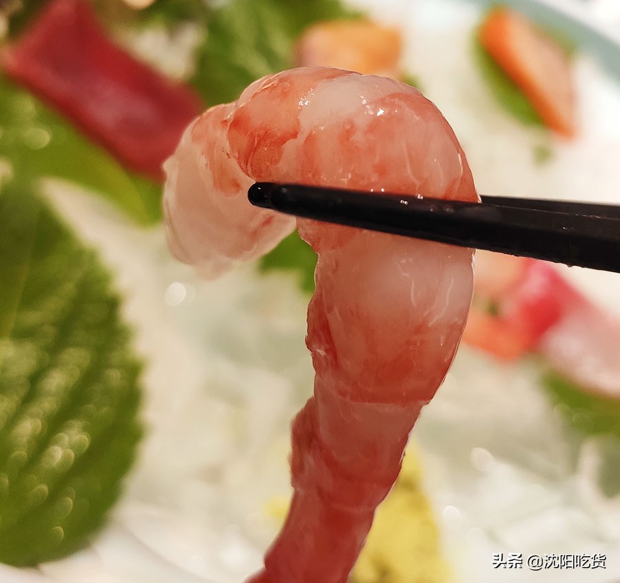 日本海鲜刺身怎么吃,各种各样的大海鲜刺身