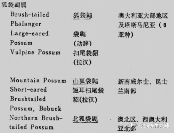 有哪些容易被认错的动物,容易被欺负的动物有哪些