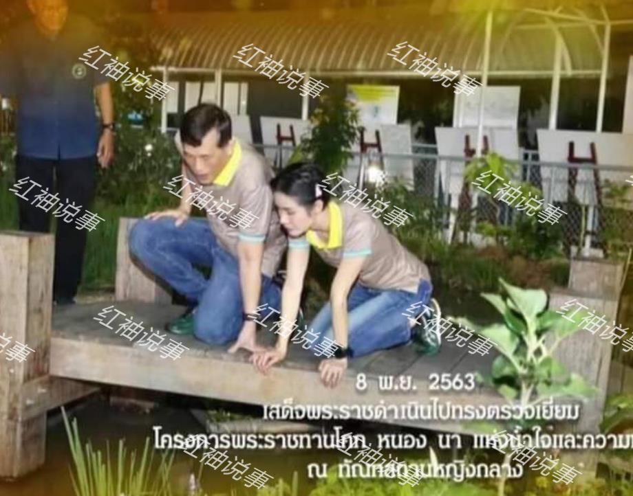 王室推出诗妮娜周边！Q版形象呆萌可爱，成功抢走苏提达风头