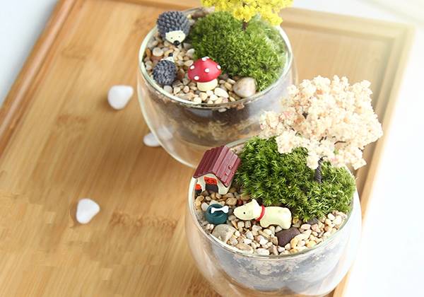 家里花瓶插花放点什么,创意养花花瓶