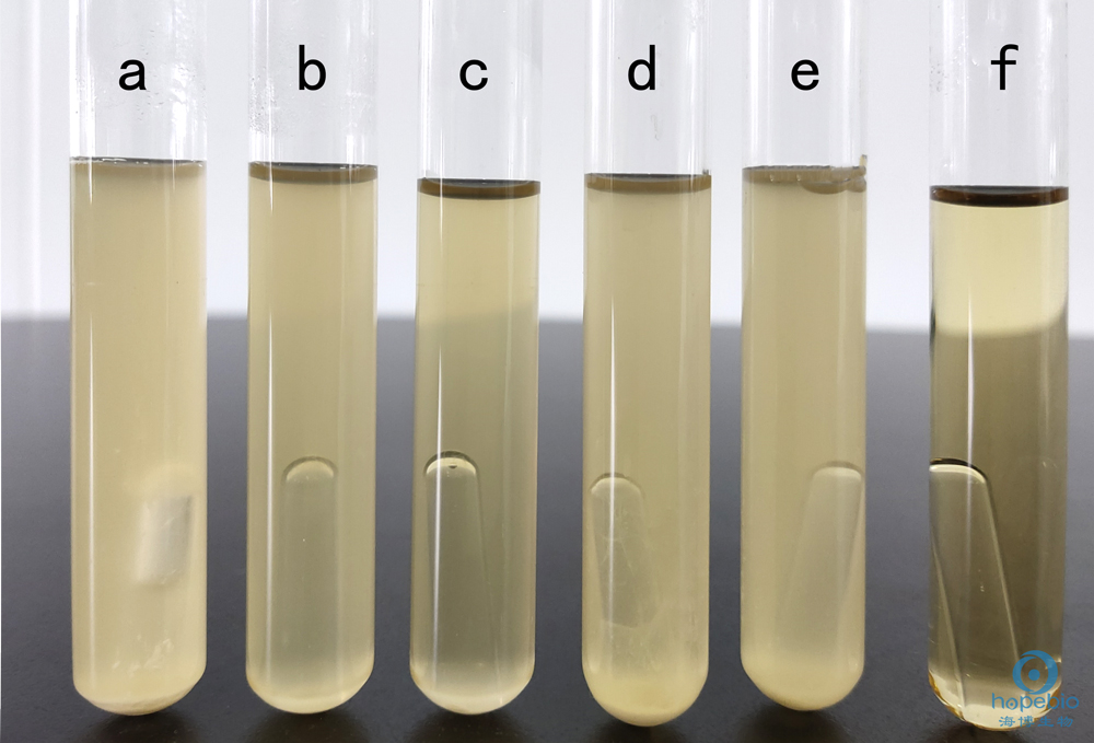 大肠埃希菌菌落计数10.5,大肠埃希氏菌计数3+严重吗