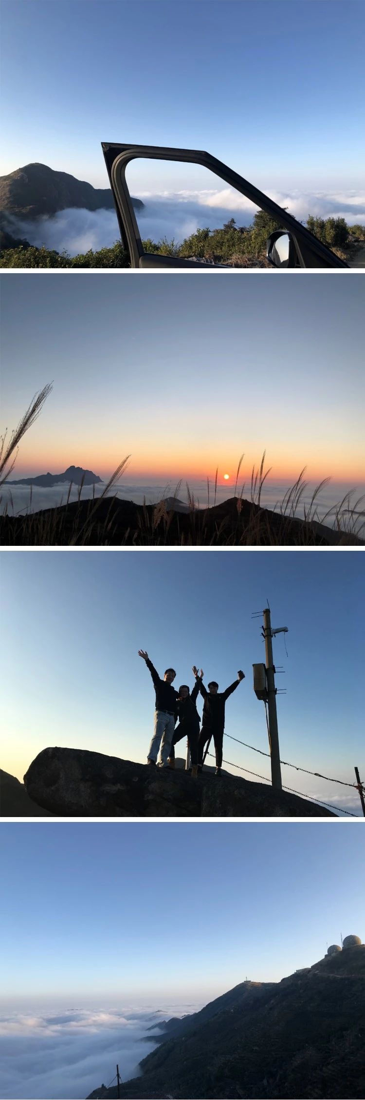 鸭屎香为什么这么难喝,鸭屎香哪里的最好喝