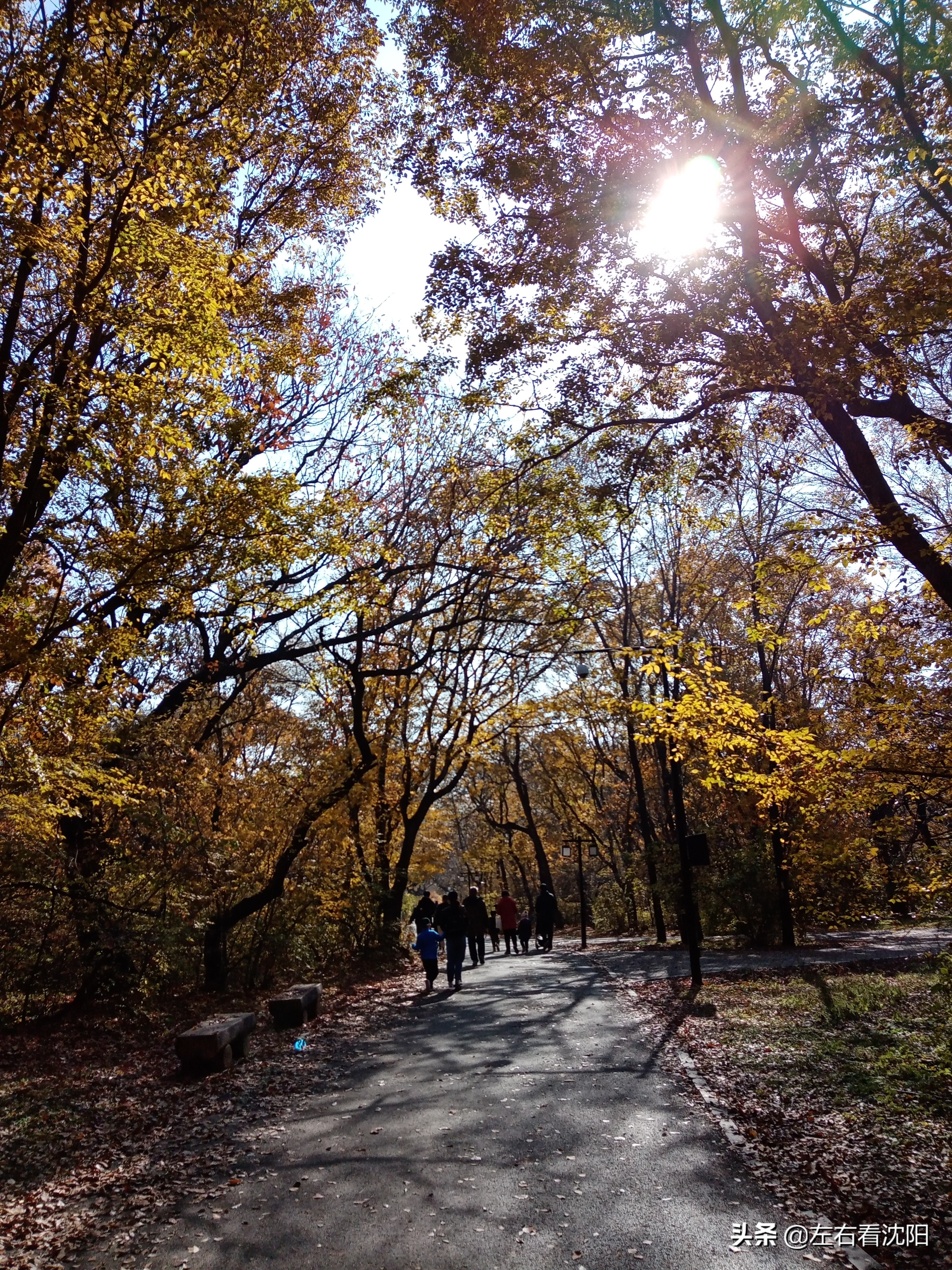 秋季沈阳北陵公园有啥好玩的,漫步沈阳北陵公园湖水边