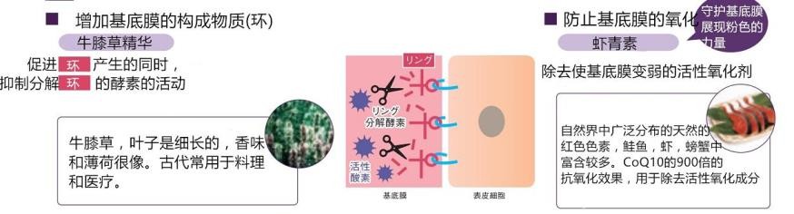 naris足部护理,nars唇部磨砂