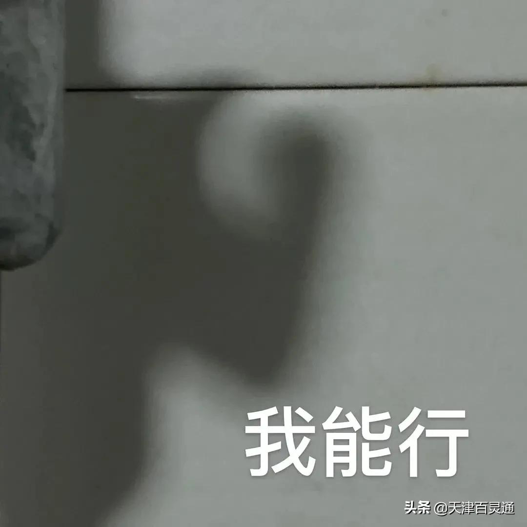 本周上班时间有变明天要上班,注意节后上班时间有变