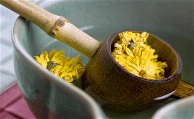 关于菊花姿态优美的诗句,描写菊花诗句经典语录