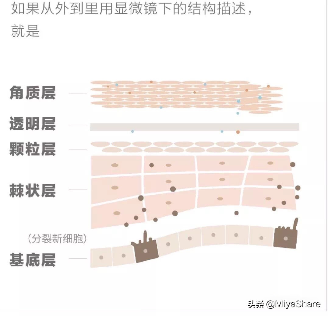 40岁女性用什么牌子的护肤品最好,适合40岁女人的护肤品国货排行榜