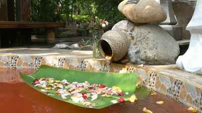 厦门天沐温泉年票,厦门天沐温泉恐龙侏罗纪