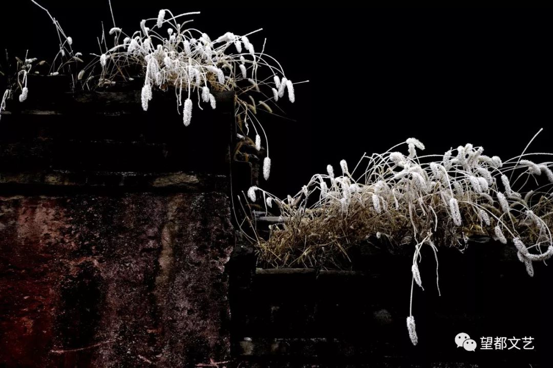 雪后美景银装素裹,雪后银装素裹似仙境