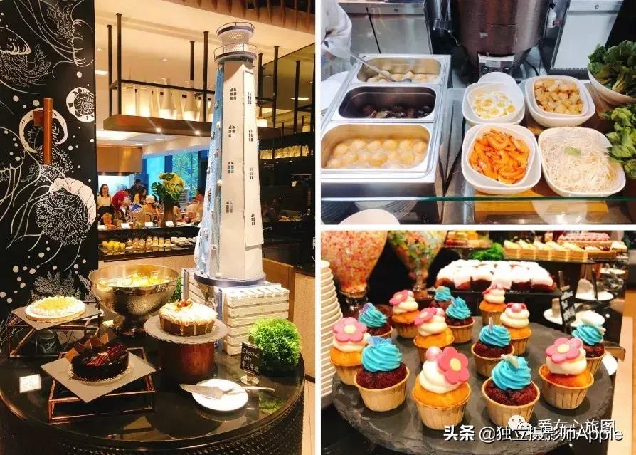 香港海洋公园自由行游玩攻略,香港旅游攻略香港海洋公园