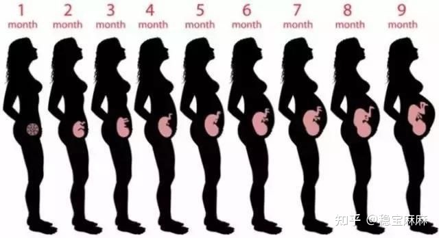 怀孕之后身体都有哪些变化？