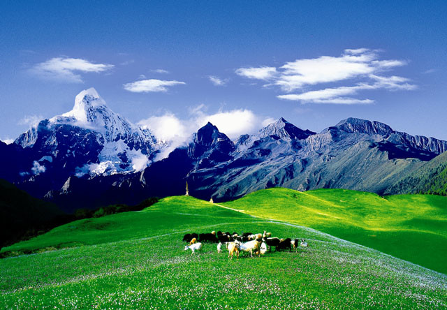 云南出发稻城亚丁两日游攻略,从云南去稻城亚丁旅游最佳路线