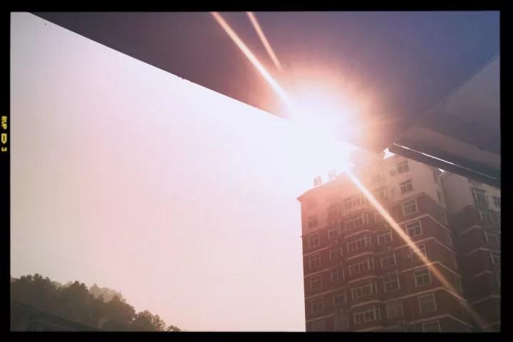 用手机就能拍出胶片照的app,有胶片感的手机拍照app