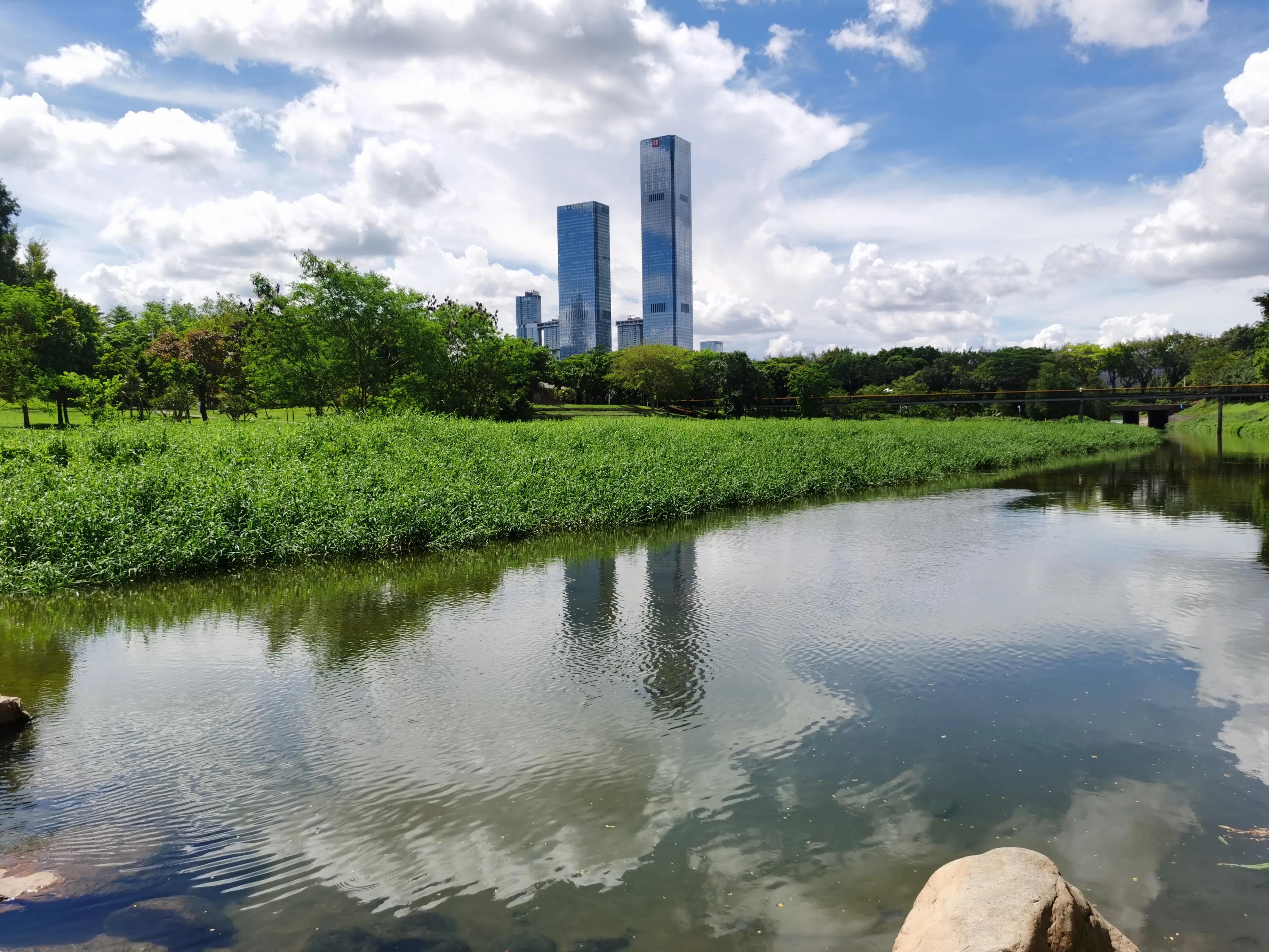 笔架山公园福田河,深圳笔架山福田河图片