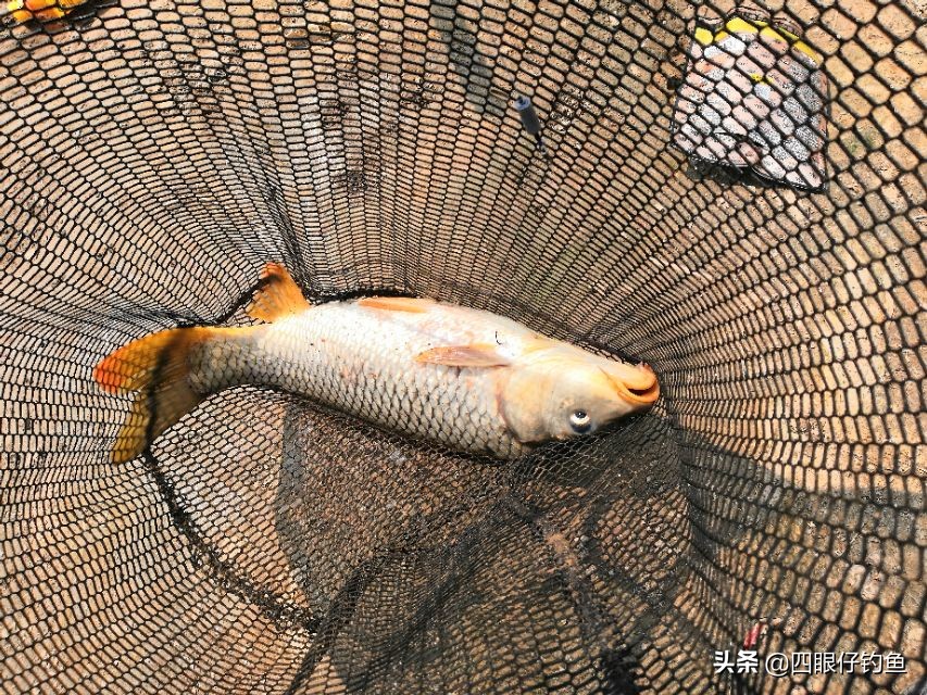 为什么说西北风不好,西北风为什么不敢钓鱼