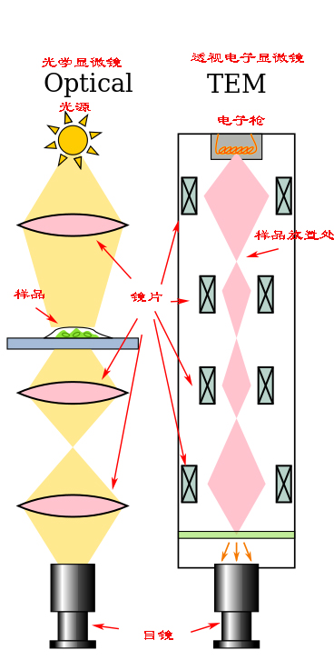 探索微观世界显微镜发展史,显微镜下的微观世界怎么展示