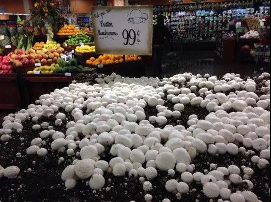 外国人有蘑菇吃吗,外国人吃中国蘑菇