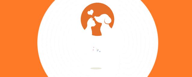 狗狗夏季皮肤病用什么药,狗狗得皮肤癌怎么治