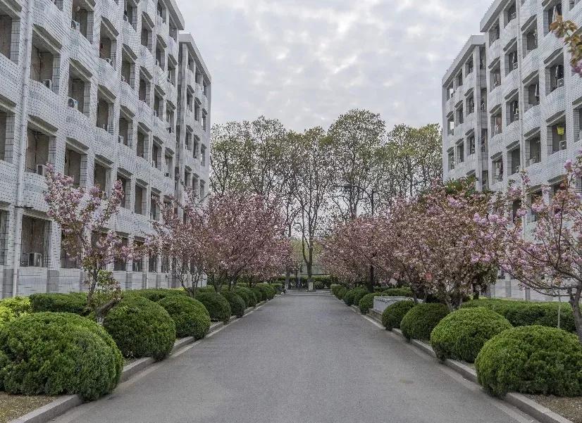 安徽合肥大学二本院校,安徽合肥工业大学