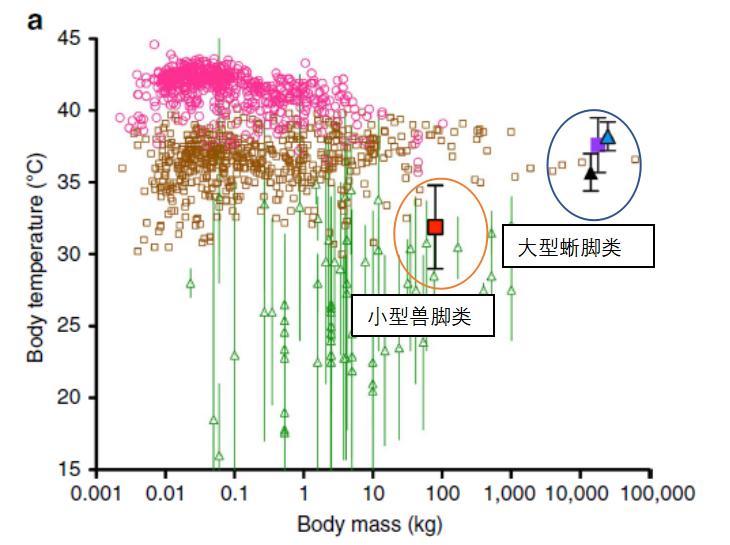 6000万年前生物大灭绝迹象,恐龙灭绝的三种推测