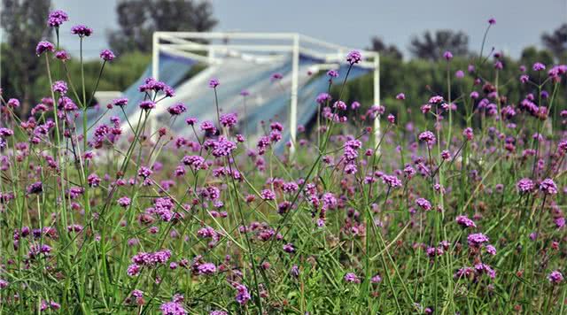 北京游玩北京必去的十大景点,北京周末度假景点推荐