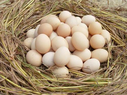 单手打蛋的技巧视频,单手打蛋