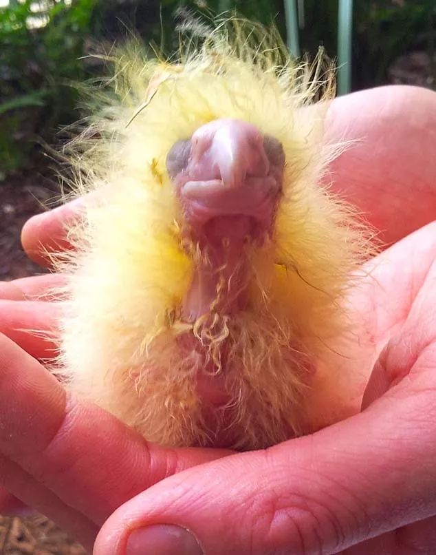 澳大利亚游的最佳线路,澳大利亚旅游攻略10天线路