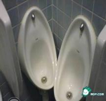 怎么治瘟疫,如何控制上厕所