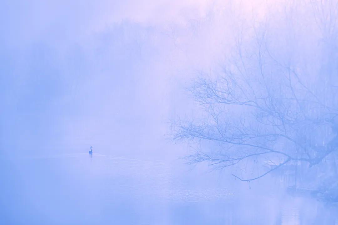 香港第14届全国摄影艺术展,第29届全国摄影艺术展览获奖名单