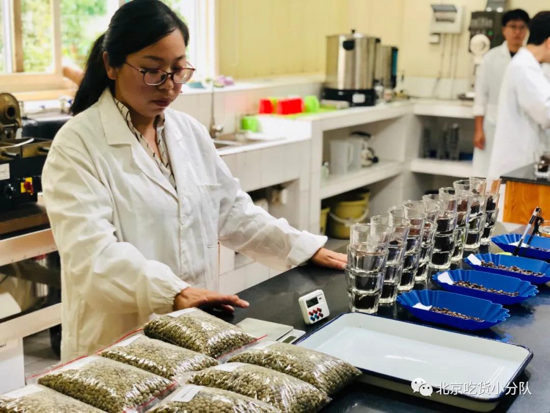 今年第一杯咖啡打卡,今年第一杯的奶茶