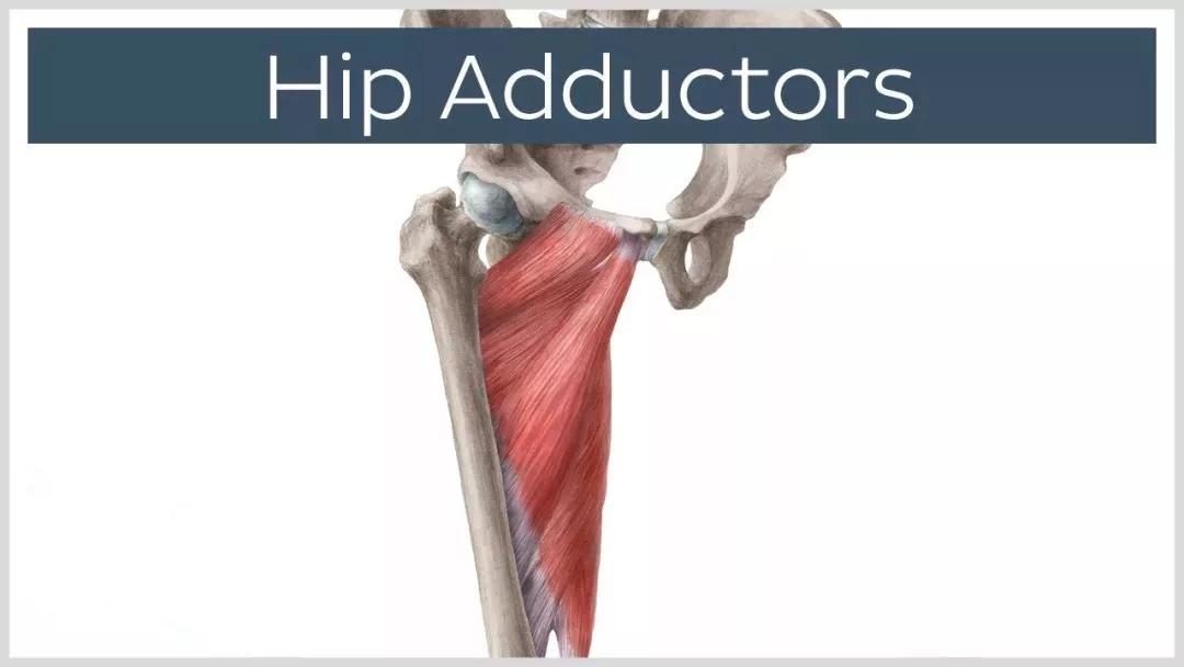 练就笔直大长腿，OX腿型如何应对？！｜运动康复003课