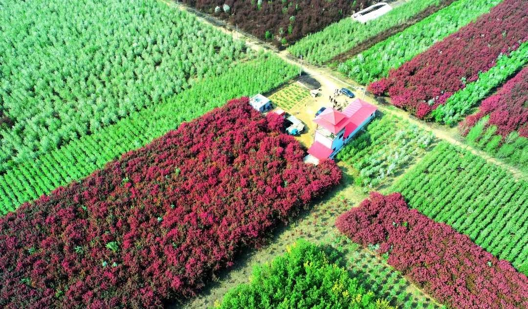 我为群众办实事怎样加强舆论宣传,我为群众办实事新媒体