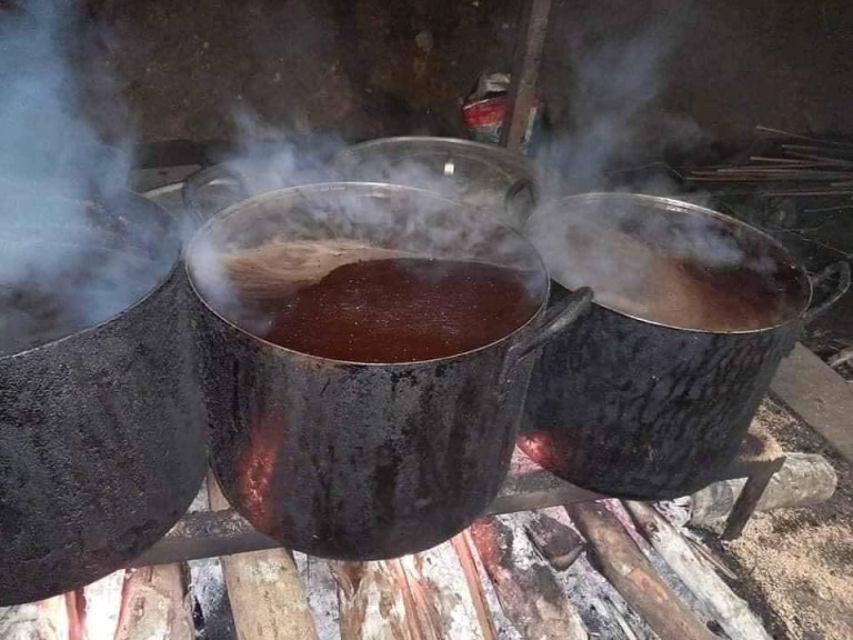 越南人将黑猫熬成糊，当作新冠肺炎解药，网上销售火爆小孩都在喝